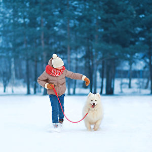 Christmas, winter and people concept - happy teenager boy running and playing with white Samoyed dog outdoors in winter day(shut