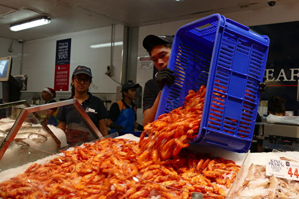 悉尼鱼市场为今年的圣诞节准备了700吨海鲜，包括200吨虾，90万只牡蛎及其它各类水产品。（刘颂恩／大纪元） 