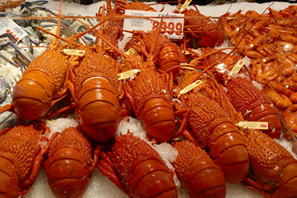 悉尼魚市場12月23日開啟了第21屆「36小時海鮮馬拉松」，活動期間有超過100個不同品種的海鮮售賣。（劉頌恩／大紀元）