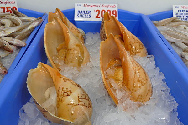 悉尼鱼市场12月23日开启了第21届“36小时海鲜马拉松”，活动期间有超过100个不同品种的海鲜售卖。（刘颂恩／大纪元） 