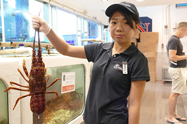 商家Nicholas Seafood的店員Molly向我們展示澳洲大龍蝦。（劉頌恩／大紀元） 