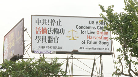 唐人街上耸立的反对活摘广告牌。（杨阳/大纪元）