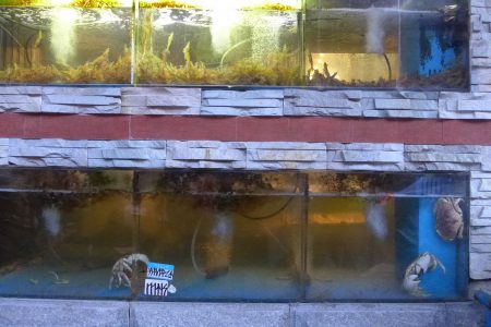 「溫哥華大蟹」已升至每磅10.99元，缸內也只有寥寥幾隻而已。