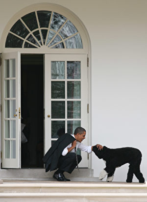 川普不会在白宫养宠物。图为前总统奥巴马和他在白宫养的狗。(Martin H. Simon-Pool/Getty Images)