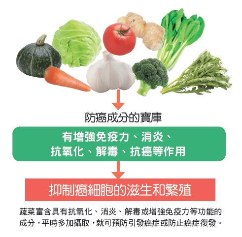 蔬菜富含具有增强免疫力等功能的成分，可预防引发癌症或防止癌症复发。（和平国际提供）